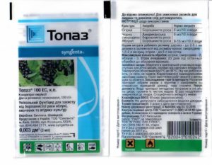 Instructions pour l'utilisation du fongicide Topaz pour le traitement du raisin au printemps et en automne et les temps d'attente