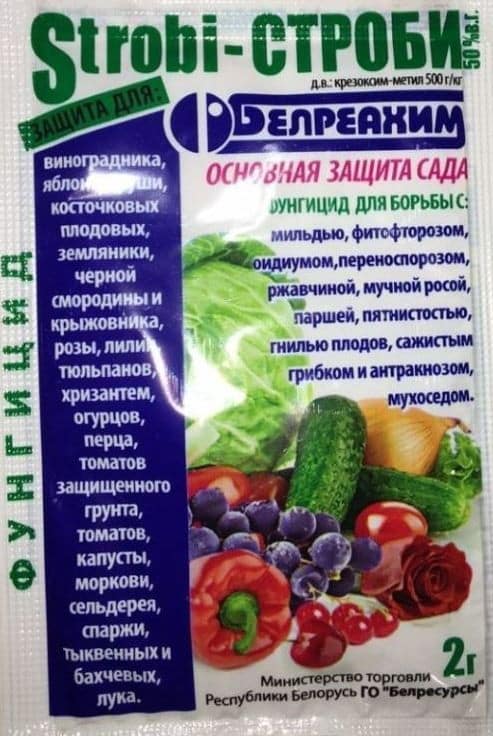 fongicide stroboscopique