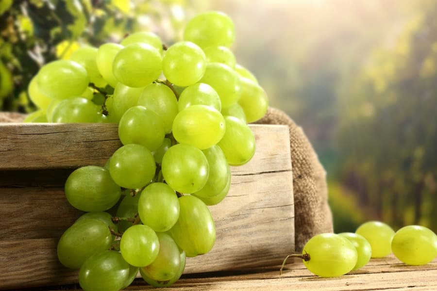 ripe grapes