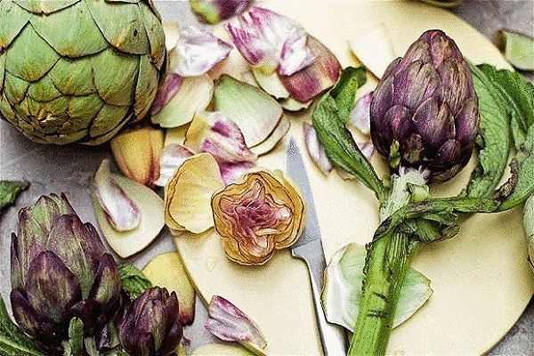 propriétés et contre-indications