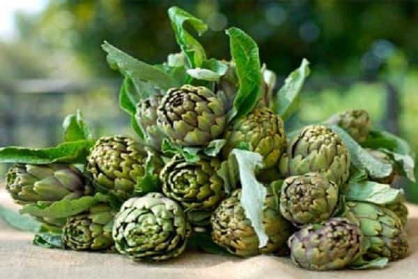 nombre de contre-indications