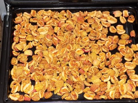 den Apfelbaum trocknen