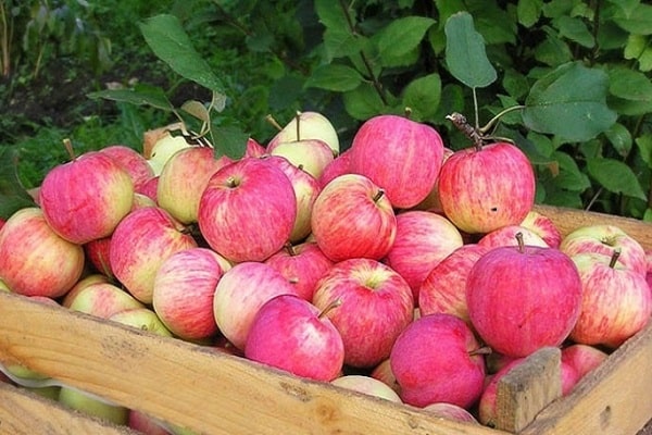 conditions de conservation