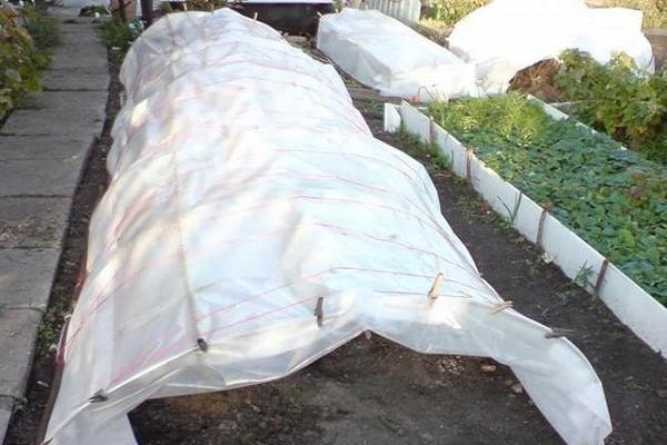 vollständige Abdeckung