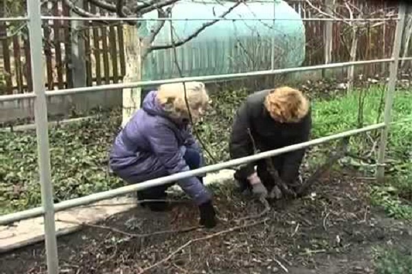 lösche alle Stiefsöhne