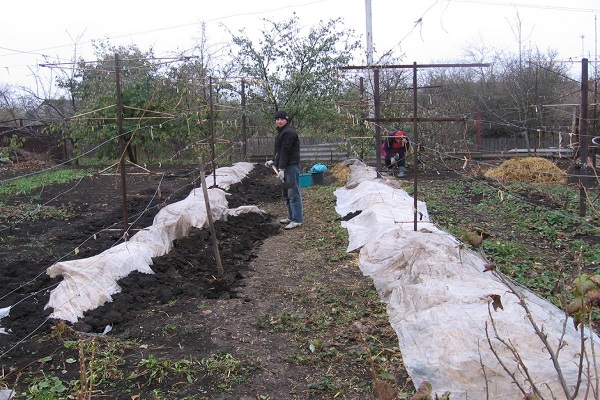 Vorbereitung auf den Winter