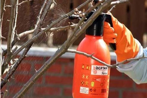 solution de protection