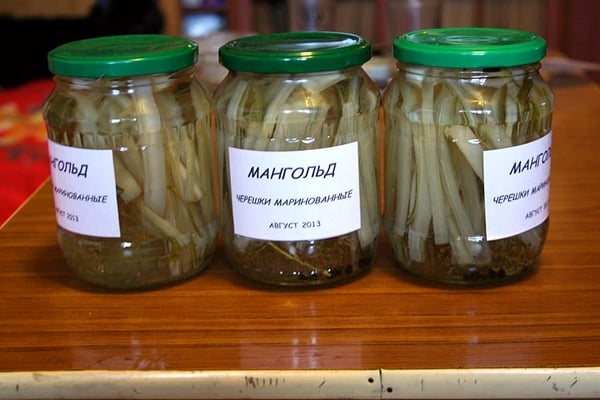 marinierte Mangoldstiele