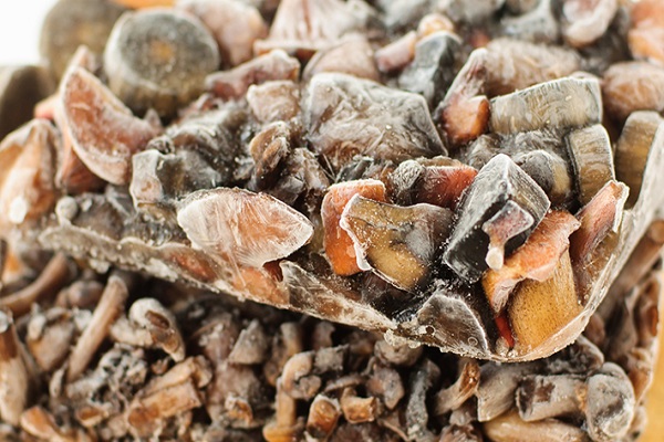 décongélation des cèpes