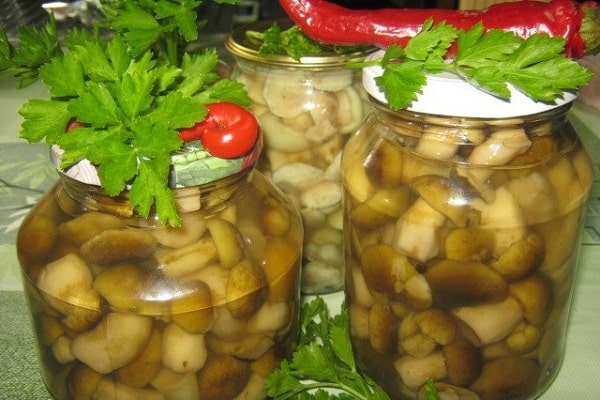 champignons marinés