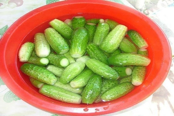 Zutaten für das Rezept