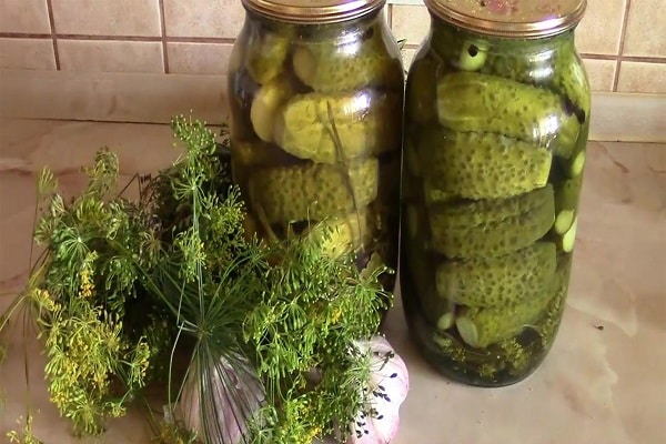 leg dich ein wenig hin