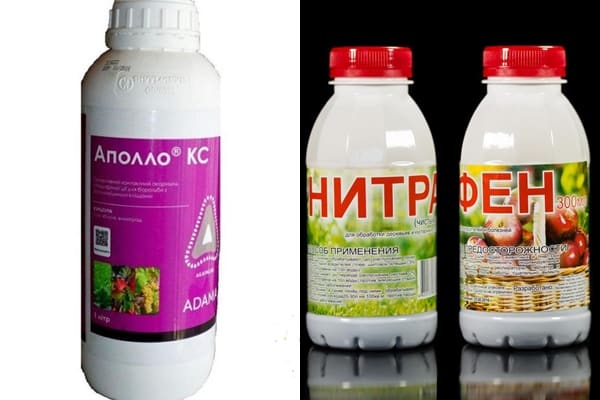 préparations d'acariens de la vigne