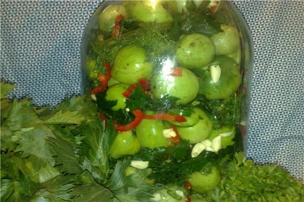 Vorspeise mit Peperoni