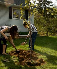 cerise kharitonovskaya