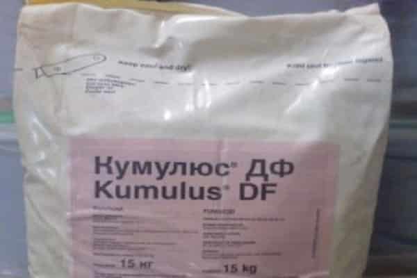 Le composant principal