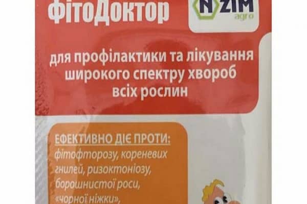 saison de croissance