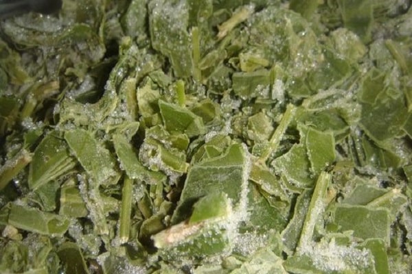 gehackter Sauerampfer