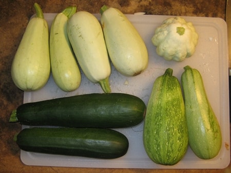 frische Zucchini