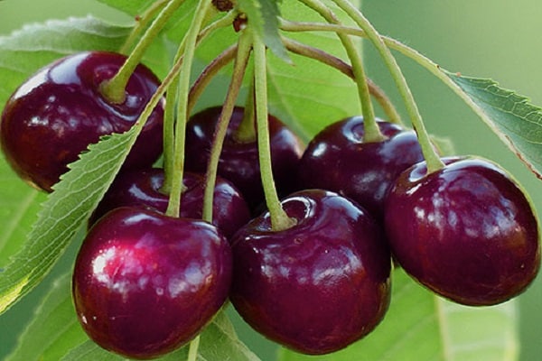 éclairé par le soleil