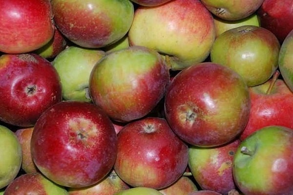 marketable condition