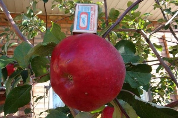 empfohlen im Oktober