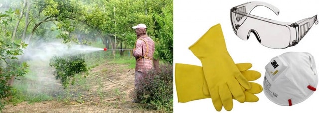 traitement du raisin