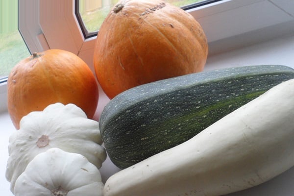 citrouilles et courges