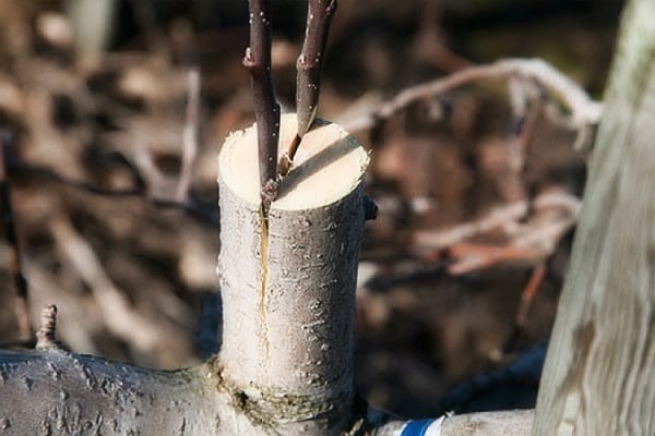 einfach und effektiv