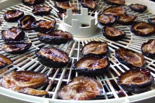 in einer Palette ausgelegt