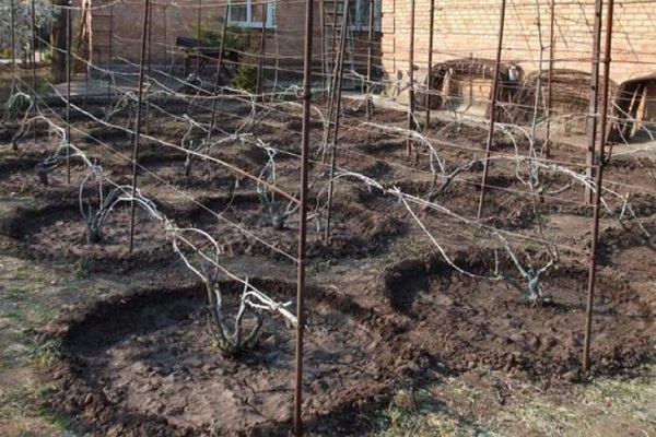 par la méthode du mur