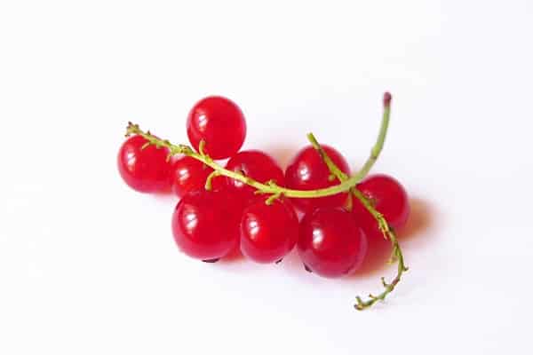 Vitamine in Früchten