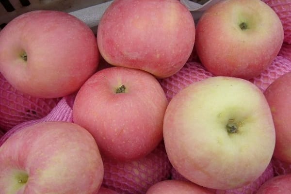 Sélection japonaise