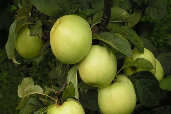 Vorbereitung zur Abholung