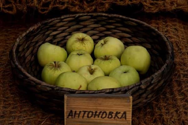 agrotechnischer Hintergrund