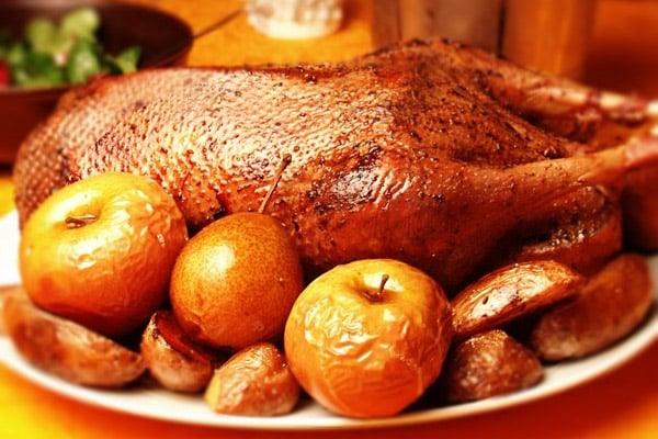 Oie et canard de Noël