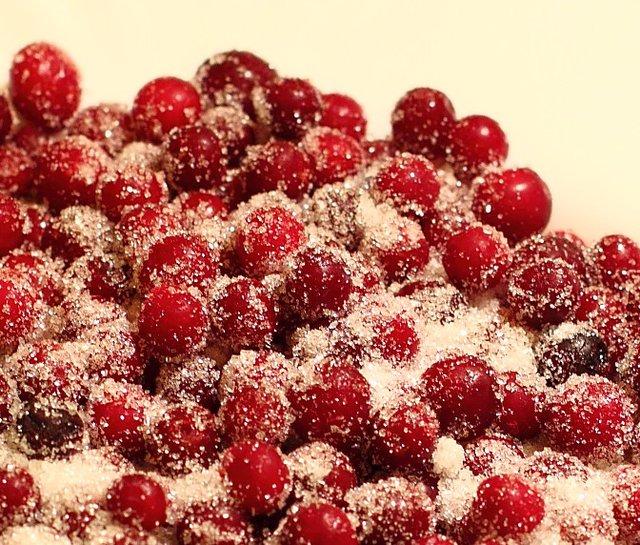 lingonberry in shara