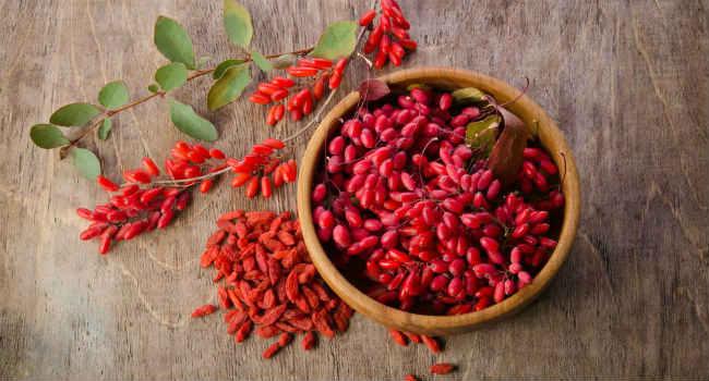 Berberitze medizinische Eigenschaften