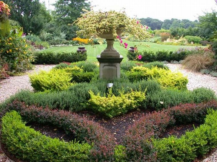 épine-vinette arbustive