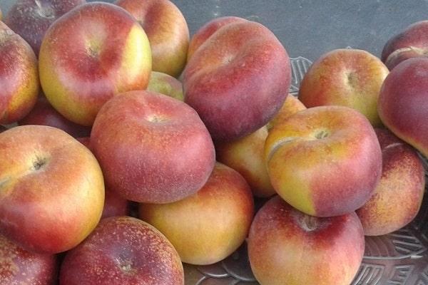 siehst aus wie Feigen