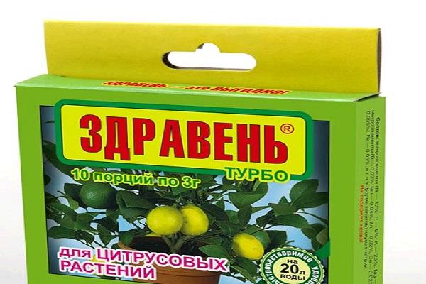 Dünger für Zitrusfrüchte