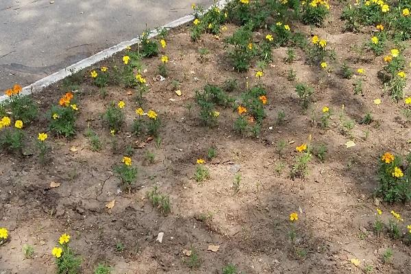 Reihenabstände lösen