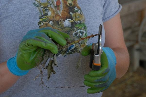 ébauches de matériau