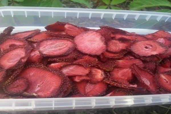 getrocknetes Produkt