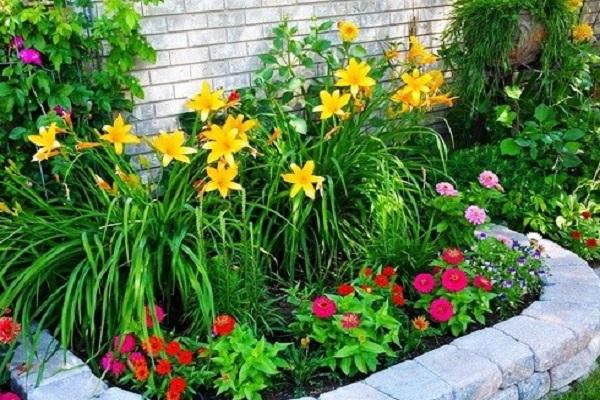 Blumenbeet an der Wand