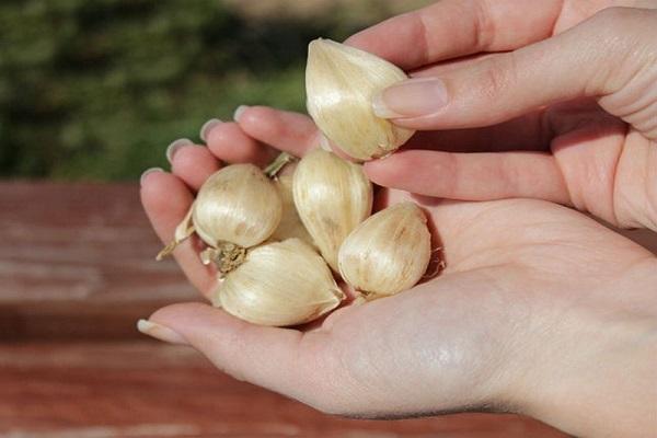 Sortieren Sie die Glühbirnen