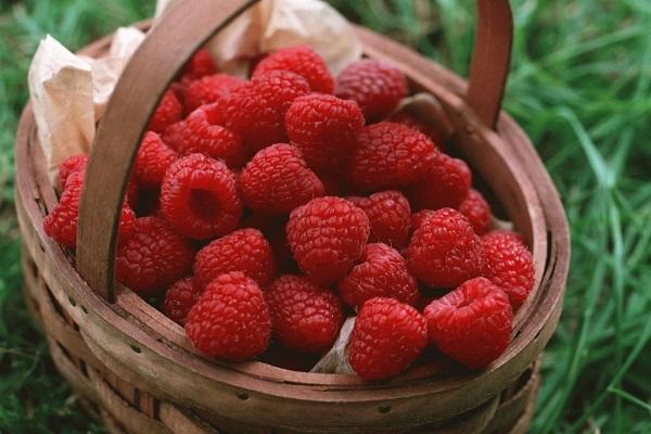 portefeuille de fruits