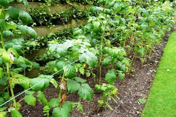 unter den Faden passen