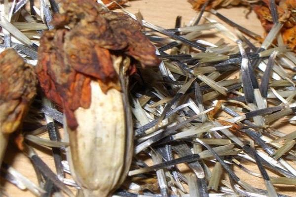 Samen eins nach dem anderen