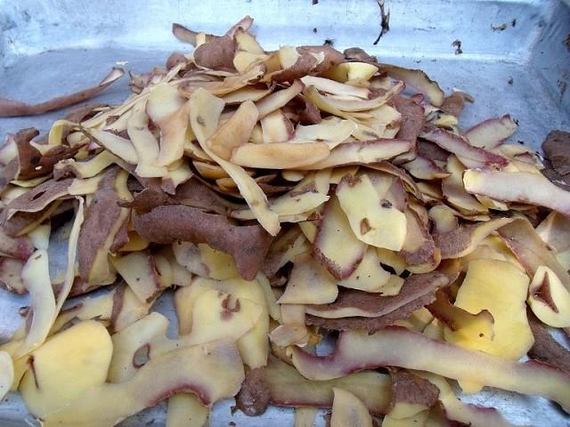 potato peelings